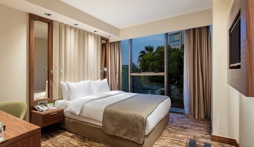 Standard Room, 1 Queen Bed, City View