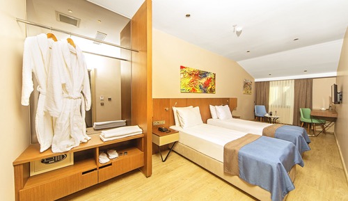 Deluxe Double or Twin Room