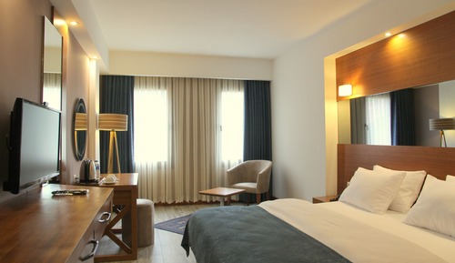 Double or Twin Room, Mountain View
