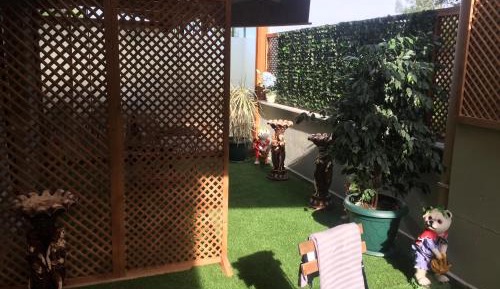 Botanic Garden Room