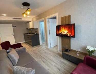Apartment with Mountain View