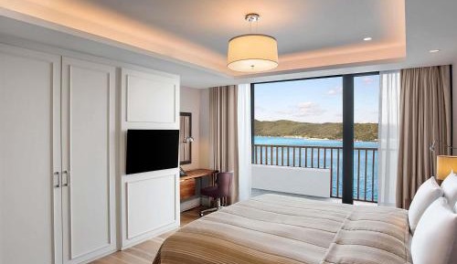 Residence One-Bedroom Bosphorus View