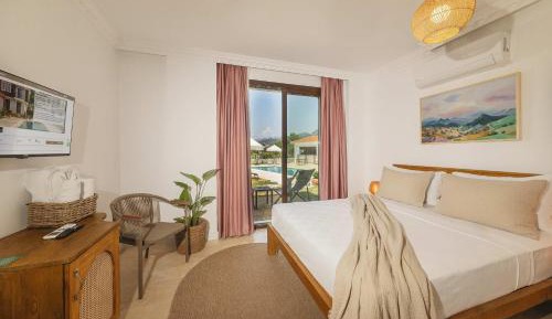 Double Room with Pool View