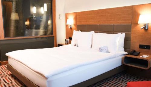 Deluxe King Suite