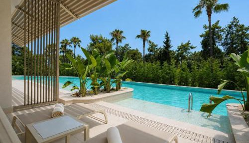 Deluxe Swim Up Room