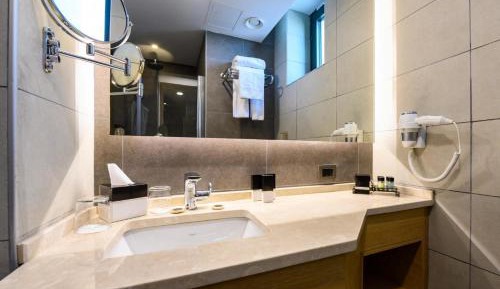 Deluxe Plus Room