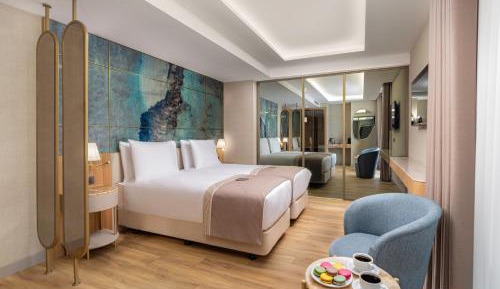 Superior Deluxe Double or Twin Room 