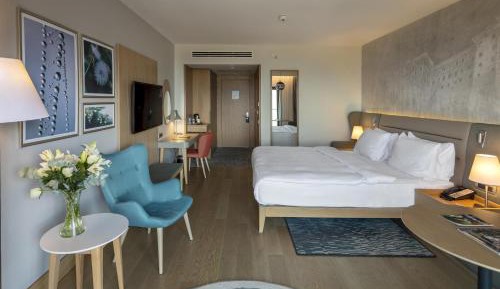 Double or Twin Room with Mountain View and Balcony