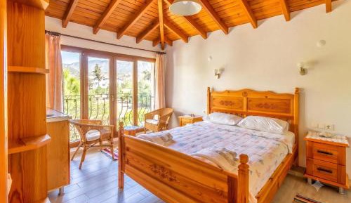 Double Room with Mountain View