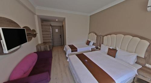 Standard Triple Room with Mountain View