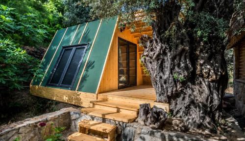 Double Room with Garden View