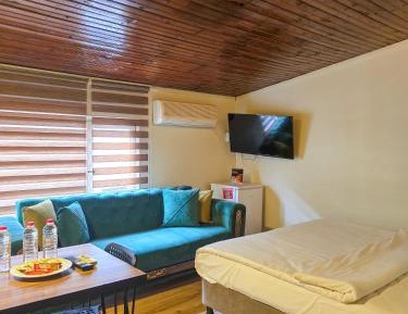 Studio with Sofa Bed