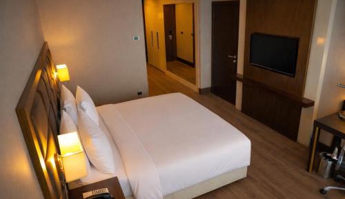 Deluxe One-Bedroom Apartment
