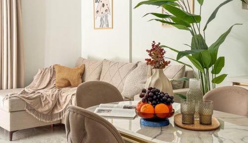 One-Bedroom Standard Apartment