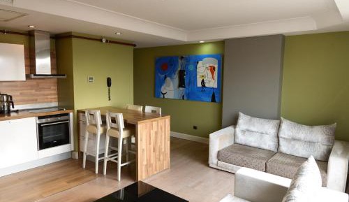 One-Bedroom Apartment with Kitchen