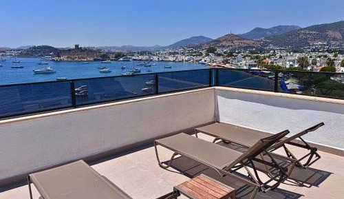 Suite with Terrace