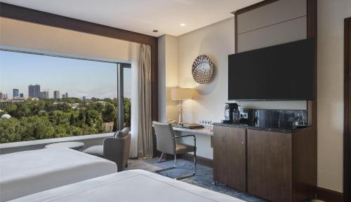 Executive Twin Room with Park View - Lounge Access