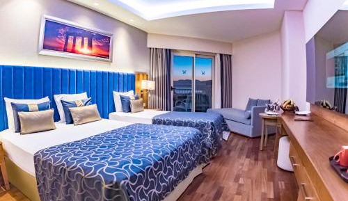 Large Double or Twin Room