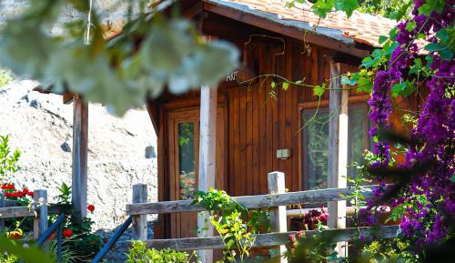 Small Bungalow with Garden View