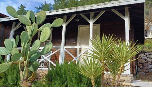 Bungalow