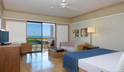 Deluxe Large Room with Land View