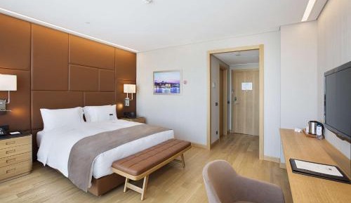 King Guest Room