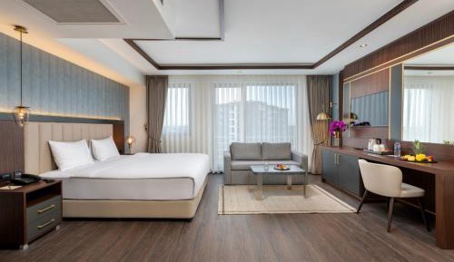 Premium Business Executive Room