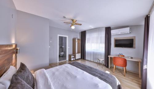 Superior Double or Twin Room