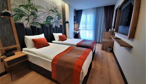 Standard Double or Twin Room