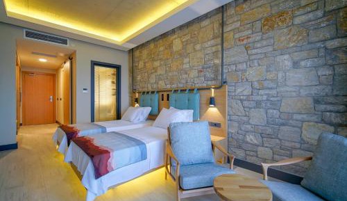 Superior Double or Twin Room with Terrace