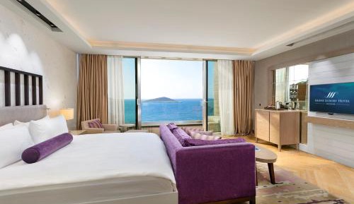 Executive Suite with Two Bedroom 