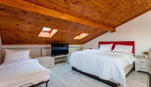 Suite with Terrace and Kitchen