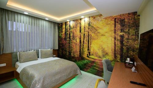 Deluxe Double Room (2 Adults)