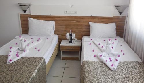 Basic Double Room