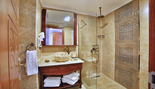 Standard Double or Twin Room without view