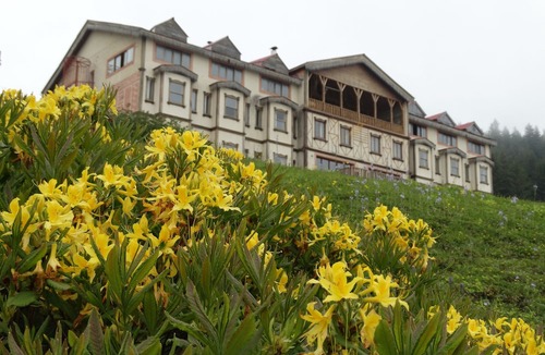 Dereli Hotel | Zifin Hotel