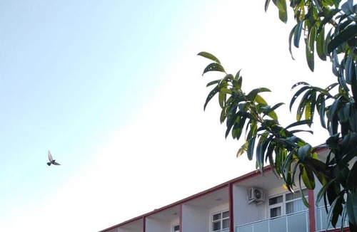 Balcova Hotel | Gardenya Hotel