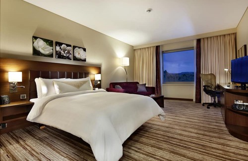 Konya Hotel | Hilton Garden Inn Konya, Turkey