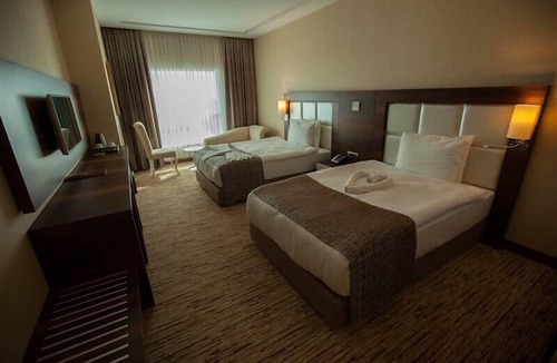 Yenisehir Hotel | Mitannia Regency Hotel
