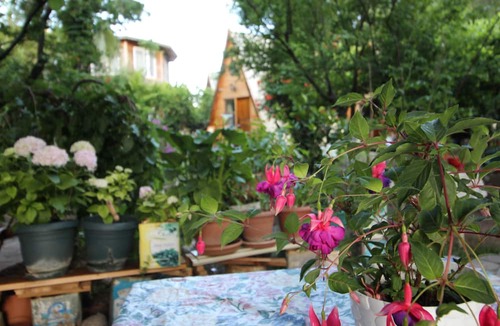 Cirali Cabin | Oran Pansiyon Agac Evler