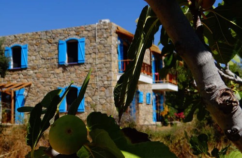 Mesudiye Hotel | Kabuk Ev Pansiyon