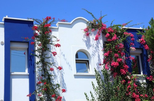 Gundogan Hotel | Catamaran Hotel