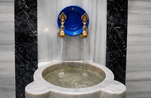 Gokcedere Hotel | Green Moringa Termal Otel