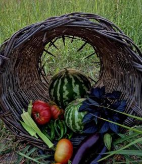 Kirazli Bed & Breakfast | Agroecology and gastronomy