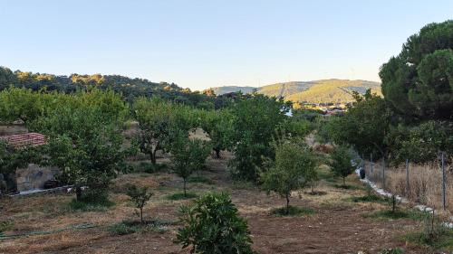 Bayindir Ski Chalet | Authentic Stone Chalet and Orchard in the Forest