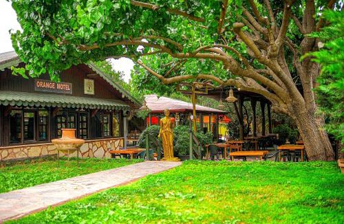 Cirali Hotel | Çıralı Orange Motel