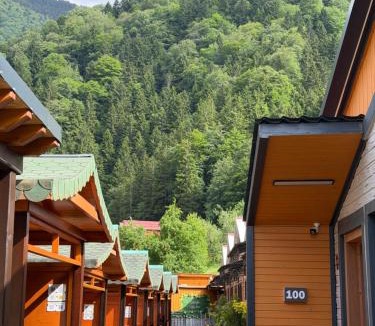 Uzungol Villa | Çakıroğlu Villa Kent