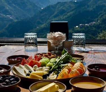 Ayder Hotel | Alfa Dağevleri