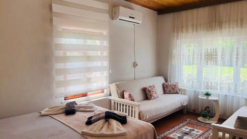 Sapanca Villa | Sapanca Eren Villa-Isıtma Havuzlu