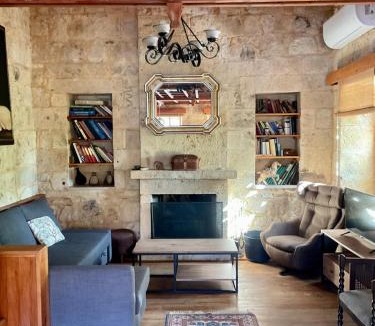 Yesilyurt Koyu House | Twin houses Mount Ida